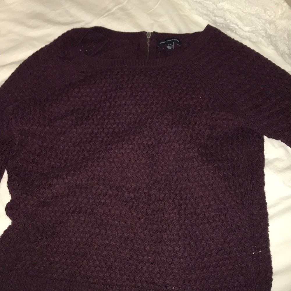 Brand new American eagle sweater